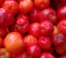 Acerola